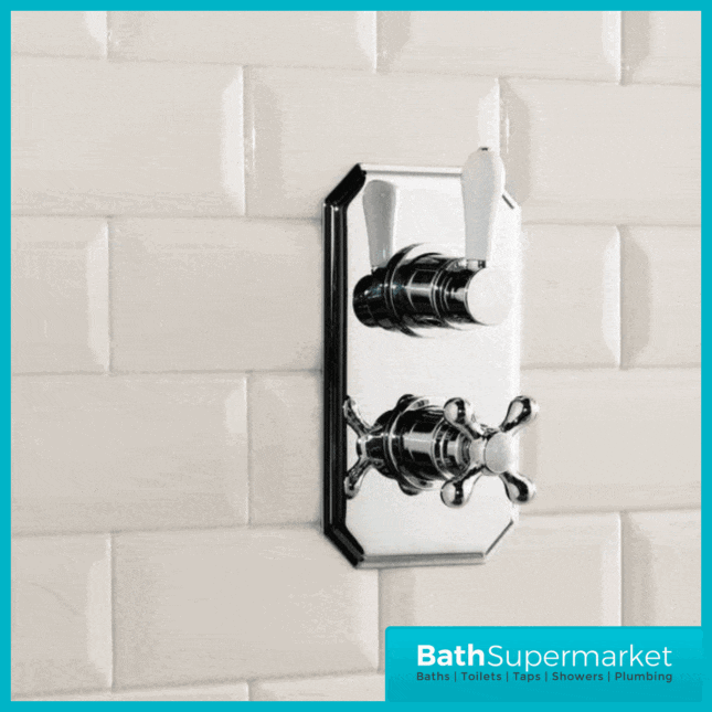 Tudor Traditional Concealed Shower Valve Trad002