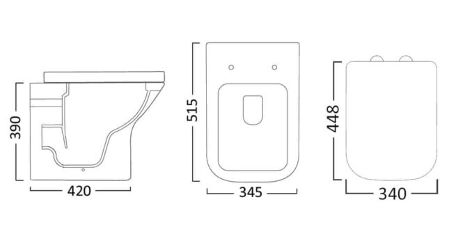 Tavistock Structure Back to Wall Pan & Soft Close Seat - Image 3