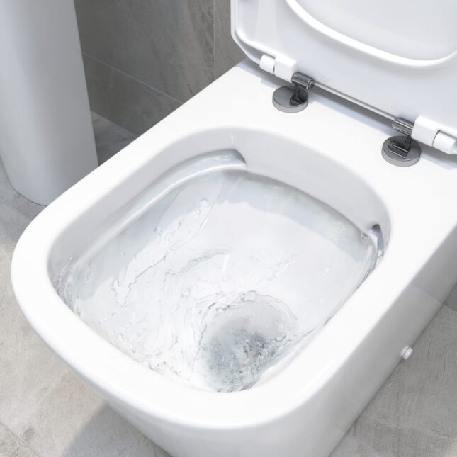 AquaVolere Cordata Wall Hung Rimless Toilet & Soft Close Seat - Image 2