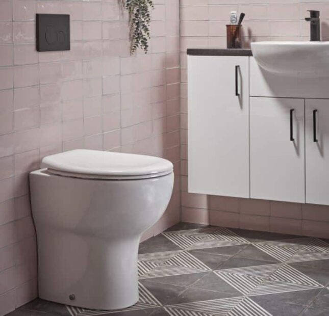 Tavistock Loft Comfort Height Back To Wall And Concealed Cistern - Image 2