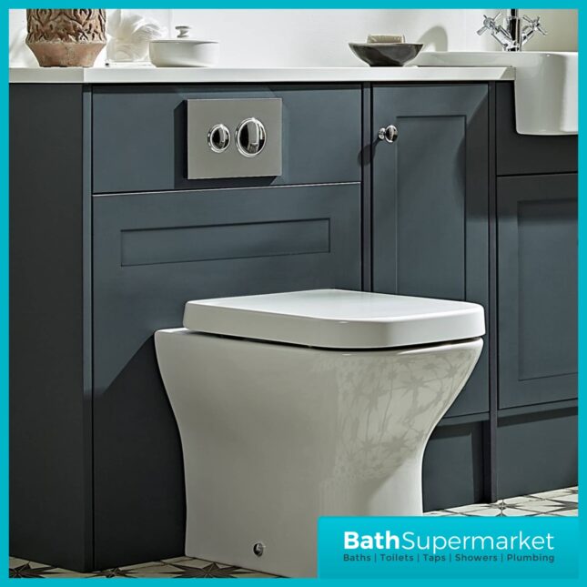Traditional Chrome Circualar Button Dual Flush Plate