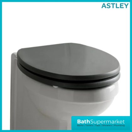 Kartell Astley Matt Grey Traditional Round Soft Close Toilet Seat