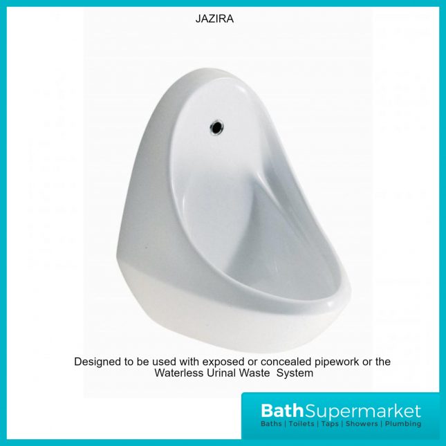 Wall Hung Urinal with Flush Valve Ceramic Wall-mounted
