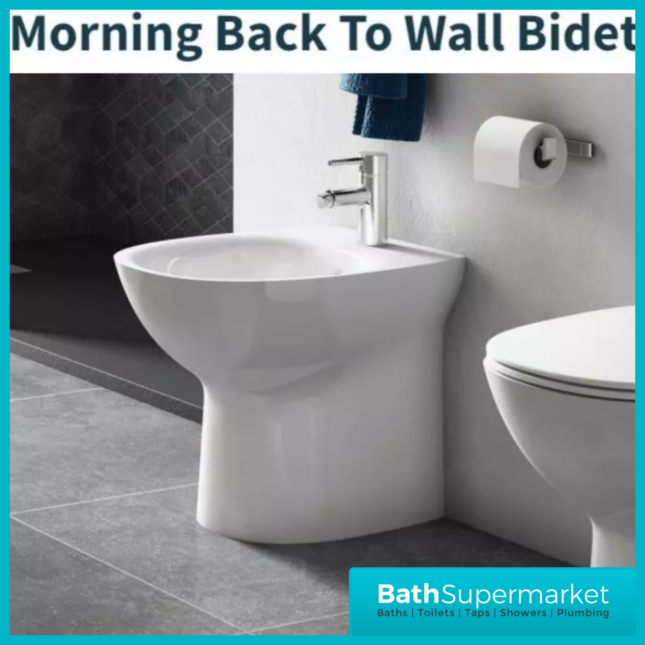 RAK Morning Alpine White Floor Standing Back To Wall Bidet 1 Tap Hole