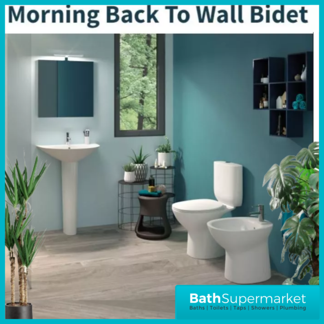 RAK Morning Alpine White Floor Standing Back To Wall Bidet 1 Tap Hole