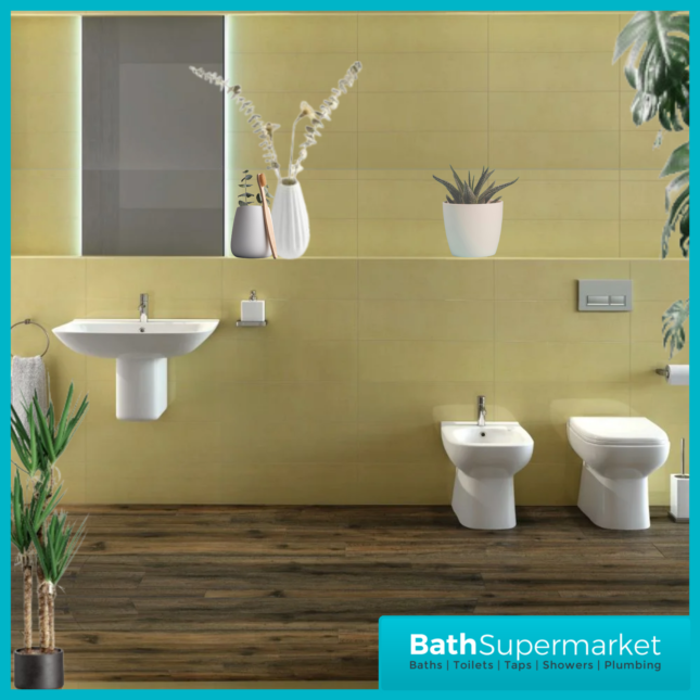 RAK Origin Alpine White Back To Wall Bidet 1 Tap Hole