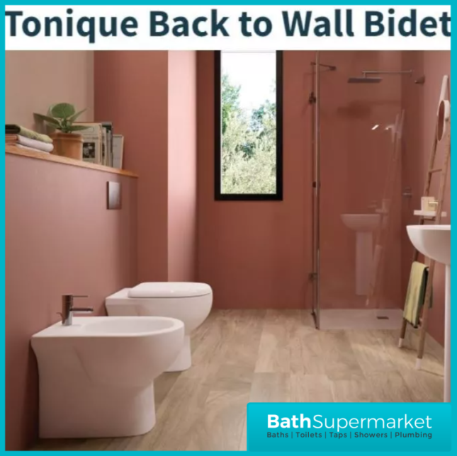 RAK Tonique Alpine White Floor Standing Back To Wall Bidet 1 Tap Hole