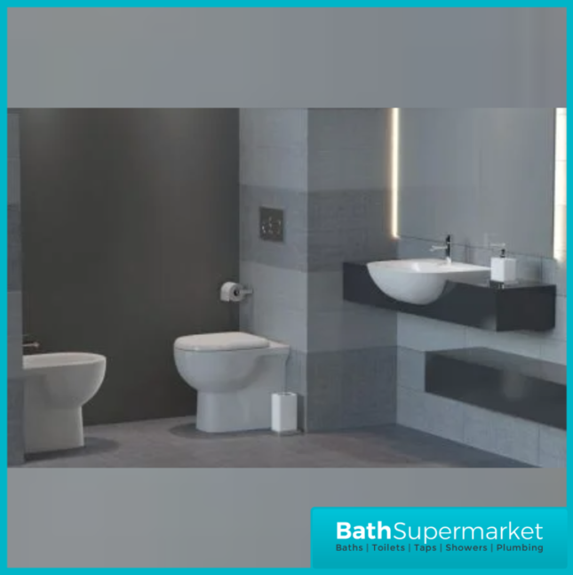 RAK Tonique Alpine White Floor Standing Back To Wall Bidet 1 Tap Hole