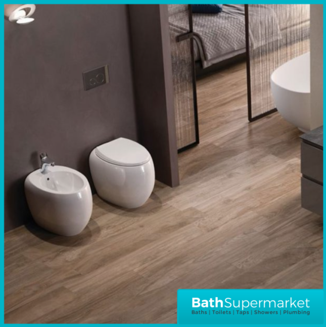 RAK Cloud Alpine White Floor Standing Back To Wall Bidet 1 Tap Hole