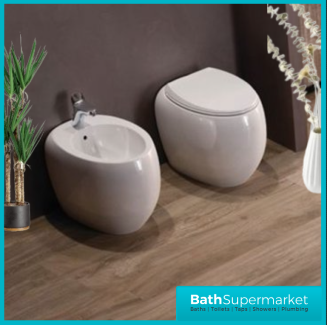 RAK Cloud Alpine White Floor Standing Back To Wall Bidet 1 Tap Hole