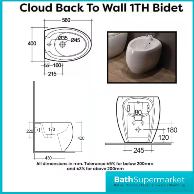 RAK Cloud Alpine White Floor Standing Back To Wall Bidet 1 Tap Hole