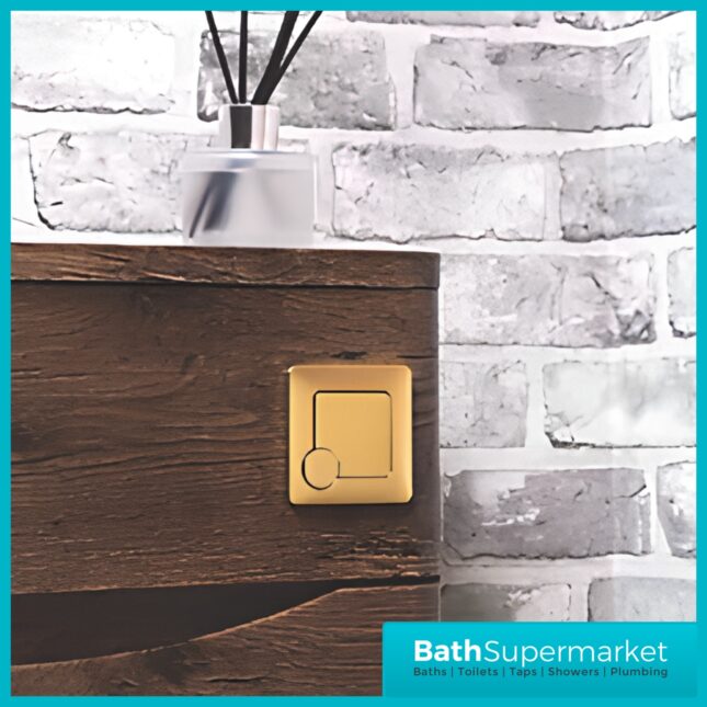 Elsi Lumo Brushed Brass Square Dual Flush Plate – Cable Operated